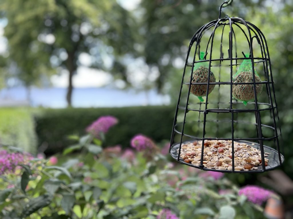 Schutzkäfig für Vogelfutter & Knödel, sodass die kleinen Wildvögel sicher fressen können